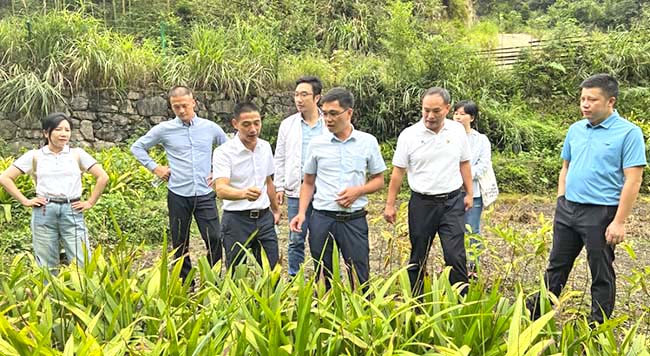 4.參觀坪水底村鄉(xiāng)村振興特色中草藥產(chǎn)業(yè)種植項(xiàng)目.jpg