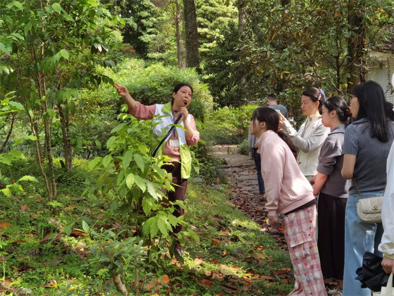 植物園工作人員為青年團(tuán)員們介紹珍稀植物的莖葉.jpg