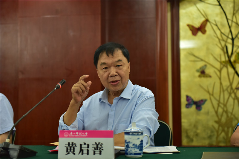 廣西壯族自治區(qū)博物館原館長、研究館員黃啟善發(fā)言（郭倩 攝）.JPG