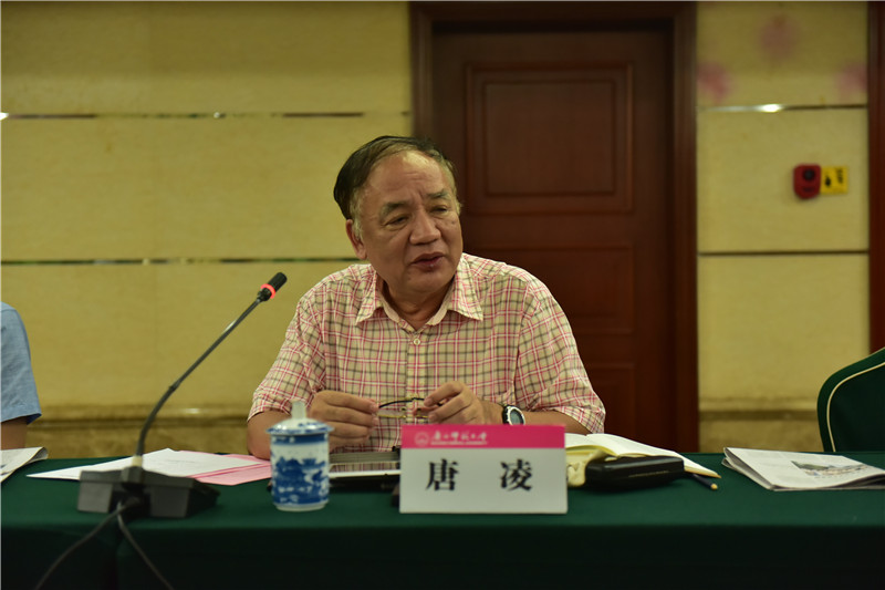 廣西歷史學(xué)會會長、廣西師范大學(xué)歷史文化與旅游學(xué)院教授唐凌發(fā)言（郭倩 攝）.JPG